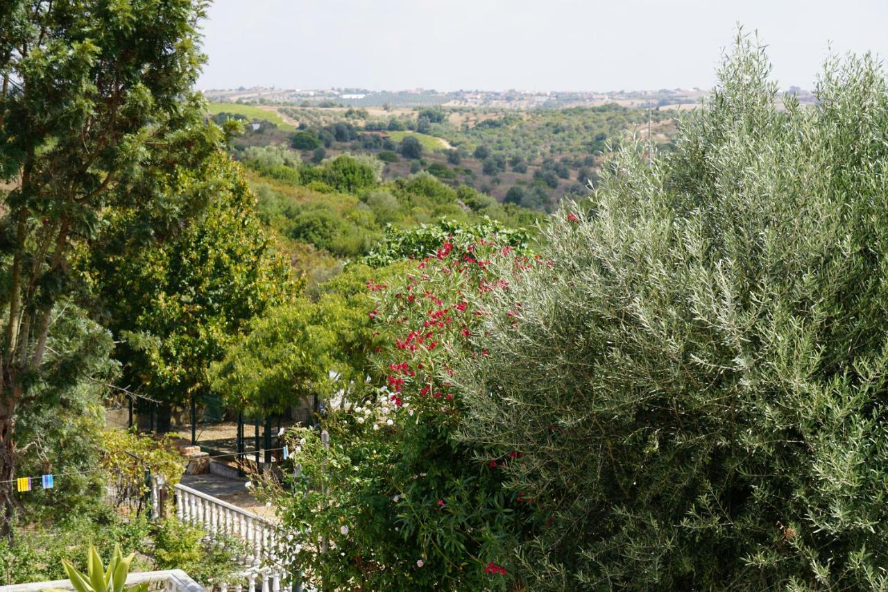 Quinta Das Camelias Tremes Exterior foto