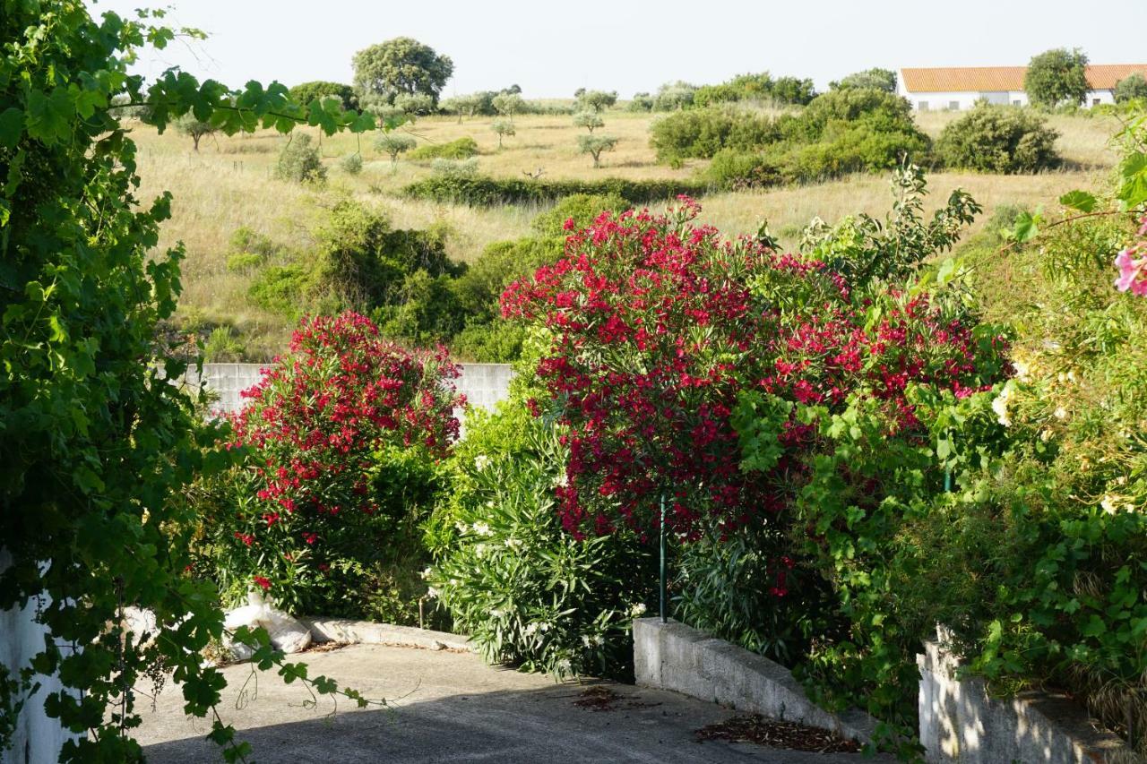 Quinta Das Camelias Tremes Exterior foto